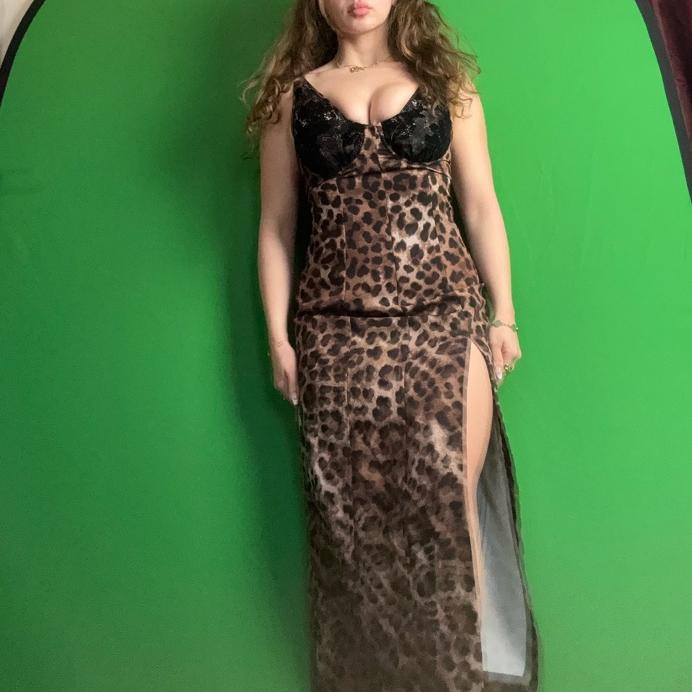 Leopard Print midi dress